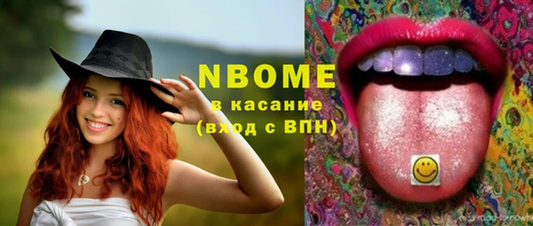 твердый Каменск-Шахтинский