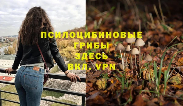 трава Каменка