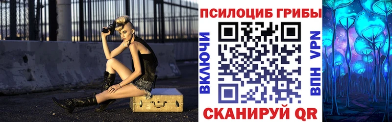Псилоцибиновые грибы Cubensis  Купить  Бежецк 